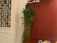 -金狮麟·新豫菜(金码大厦店)