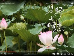 -荔湾湖公园