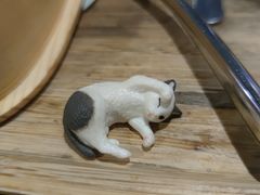 -猫小院猫主题咖啡厅(北锣店)