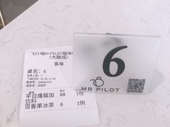 -飞行喵MR PILOT|猫舍·猫咖(静安大融城店)