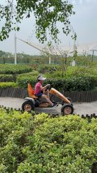 -季高兔窝窝亲子园(上海薰衣草公园店)