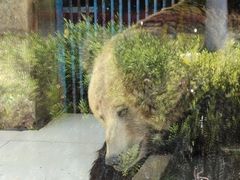 -荆州中山公园动物园