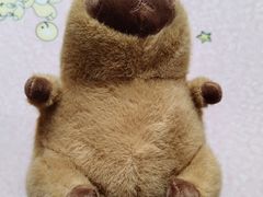 -家阳赵师傅油饼包烧麦(粮道街店)