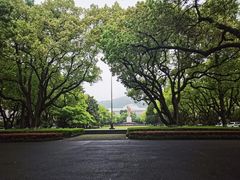 -杭州植物园