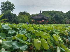 -丝绸小镇荻港古村