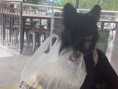 -艾贝尔宠物医院 ·中兽医·宠保定点(北门桥店)