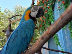 -北京野生动物园