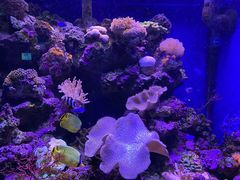 -海合安青岛极地海洋公园