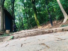 -苏州上方山国家森林公园
