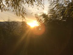 -藏龙百瀑风景区