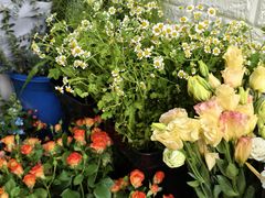 -雪蔓之鲜花气球派对(家佳源时代中心店)