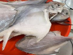 -蜀小北旋转小火锅·烤肉(金轮双子星优惠店)