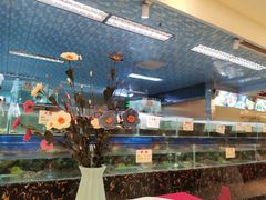 水产区-金龙渔港(双楠店)