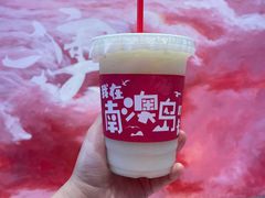 -南澳岛打卡果汁冰公司