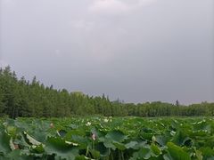 -云龙湖旅游景区