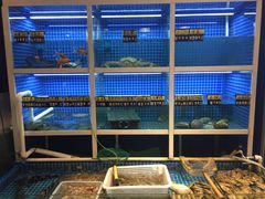 水产区-金龙·打边炉(南京西路店)