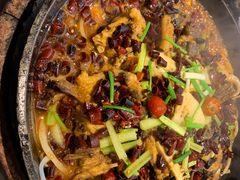 -老板恋上鱼(恒隆广场店)