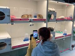 -lincat·猫舍(广州店)