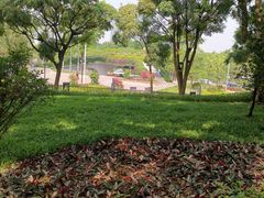 -云溪植物园