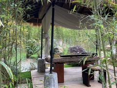 -深圳仙湖植物园