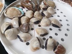 -寒舍蒸鲜(四海马术庄园店)