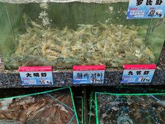 -海鲜e族(马王堆店)