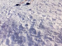 -华彬猛犸滑雪场