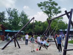 -成飞公园