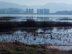 -大理国际奥林匹克体育中心