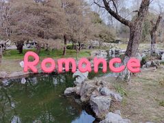-梅花山(明孝陵内)