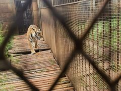 -昆明动物园