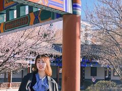 -护国法轮寺