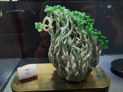 -【朵云轩艺术中心】博洛尼亚插画展·中国巡展·上海站
