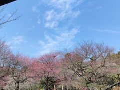 -杭州植物园