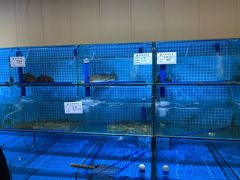 -前王院•巧克力海鲜市集餐厅(万平口店)