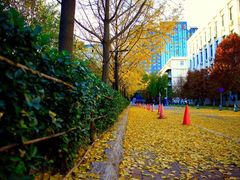 -北京化工大学(东校区)