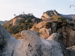 -大岭沟猕猴桃谷风景区