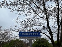 -上海辰山植物园