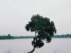 -桐乡凤凰湖