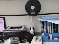 -萌兽医馆·绝育·24小时内科·宠物医院(德胜店)