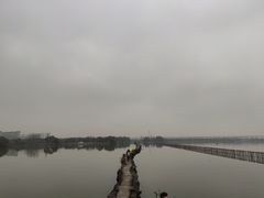 -绍兴镜湖国家城市湿地公园
