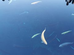 -丁字口海鲜热炒·烧烤大排档