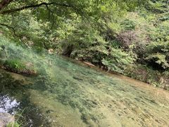 -黄山翡翠谷景区