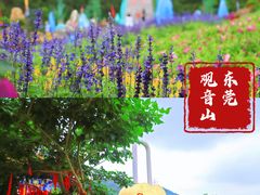 -东莞观音山旅游风景区