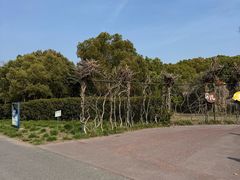 -嘉北郊野公园