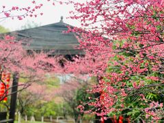 -凤凰沟景区