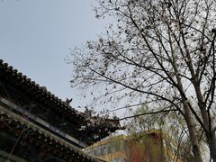 -碑林公园