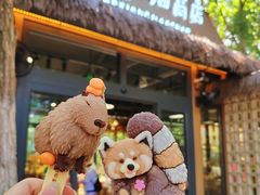 -北京野生动物园