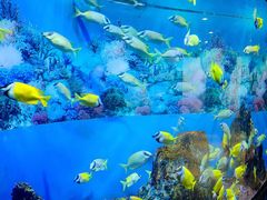-海合安成都极地海洋公园