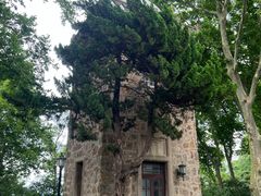 -紫金山天文台